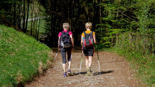 Randonn&#x00E9;e&#x20;&#x00E0;&#x20;Ginasservis&#x20;&#x3A;&#x20;Le&#x20;Guide&#x20;Ultime&#x20;des&#x20;Sentiers&#x20;du&#x20;Haut-Var