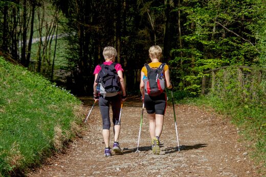 Randonnée à Ginasservis : Le Guide Ultime des Sentiers du Haut-Var