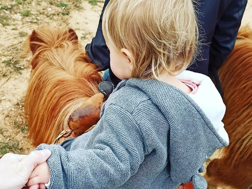 Balades à Poney