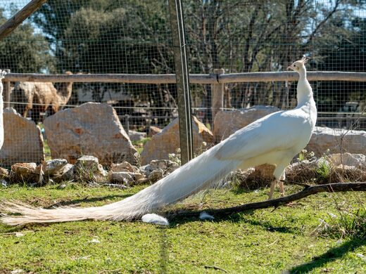 Semaine Tout Inclus en Famille dans le Var